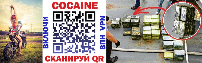 Cocaine Fish Scale  мега ССЫЛКА  Волхов 