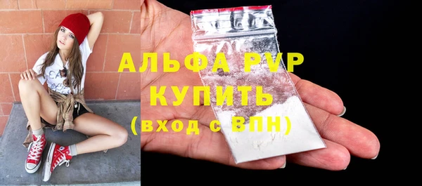 ECSTASY Белокуриха