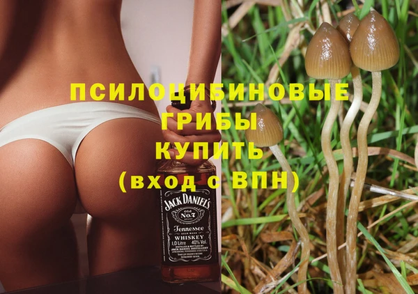 ECSTASY Белокуриха