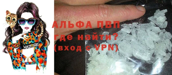 ECSTASY Белокуриха