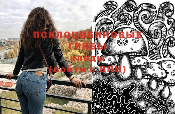 ECSTASY Белокуриха