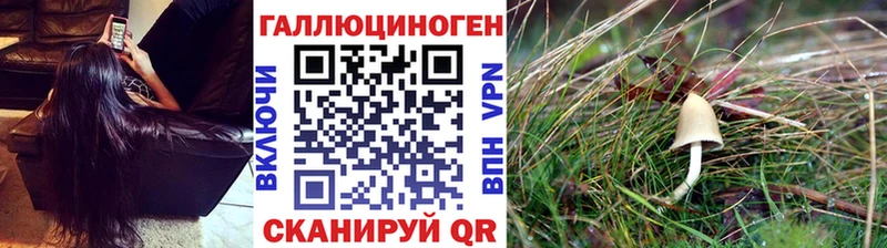 Галлюциногенные грибы Cubensis Волхов