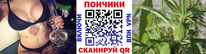 ОМГ ОМГ ТОР  Волхов  Шишки марихуана VHQ 